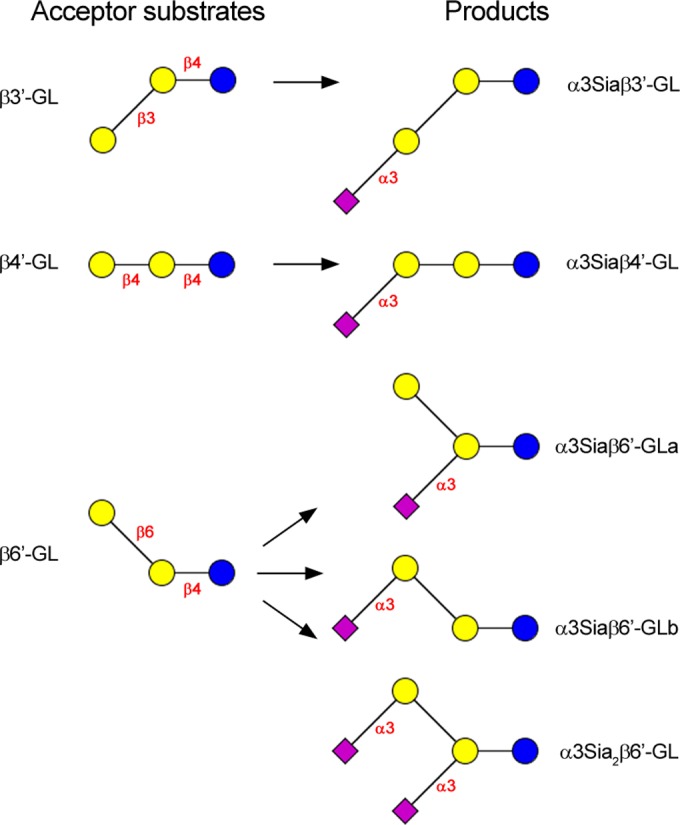 FIG 3