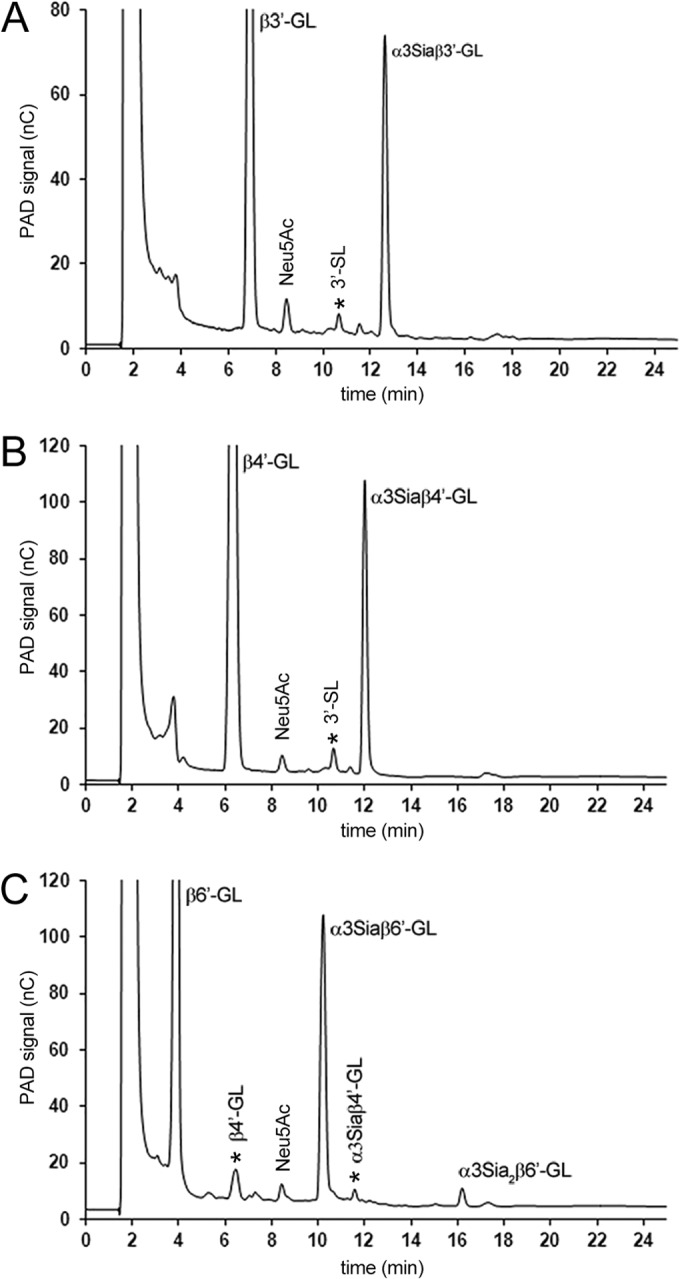 FIG 2