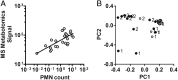 Figure 1 –