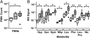 Figure 2 –