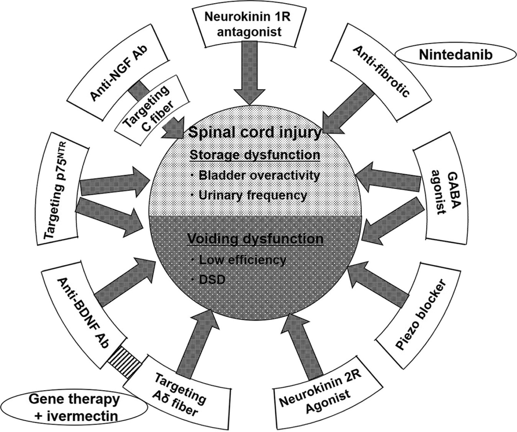 Figure 6: