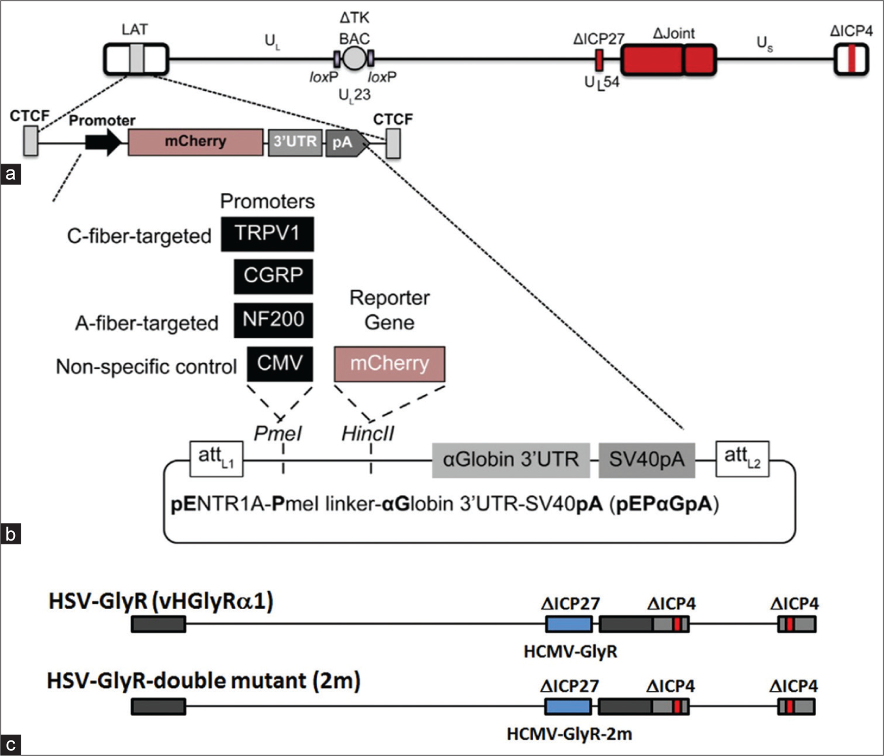 Figure 5: