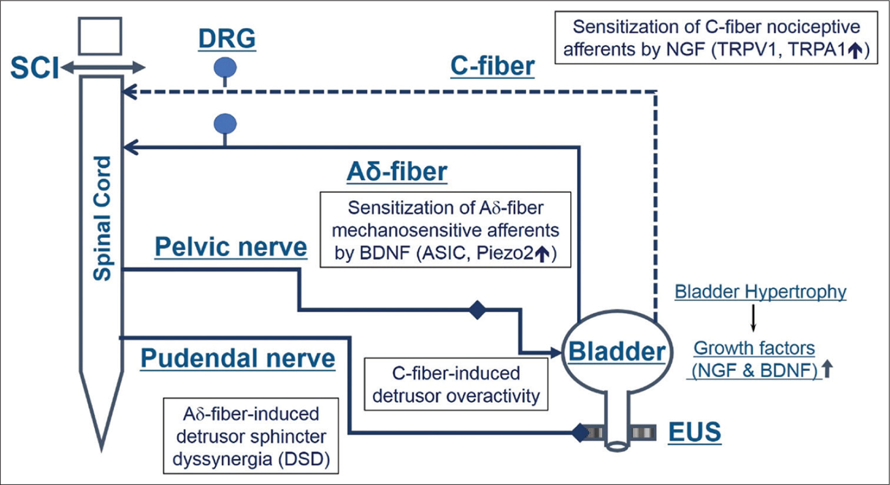 Figure 4: