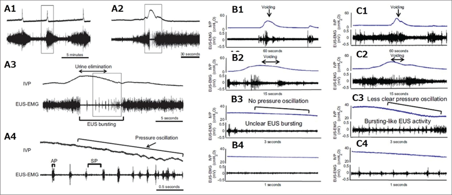 Figure 2: