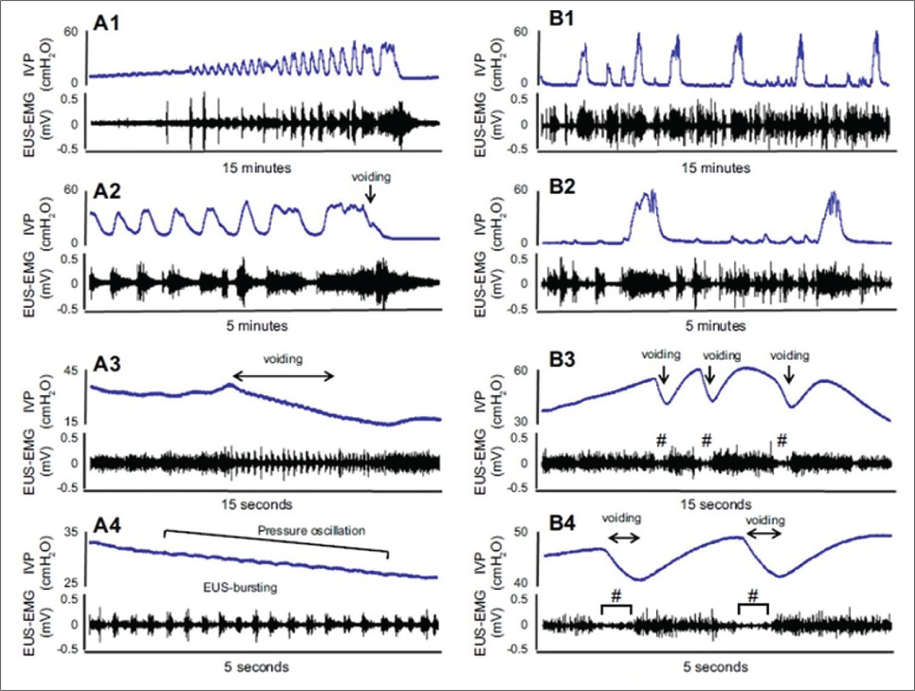 Figure 3: