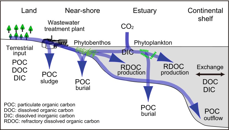 Fig. 1