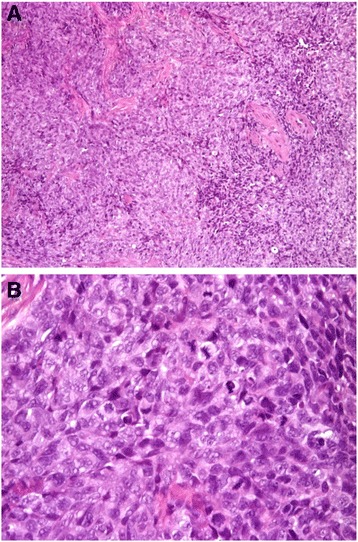 Fig. 5