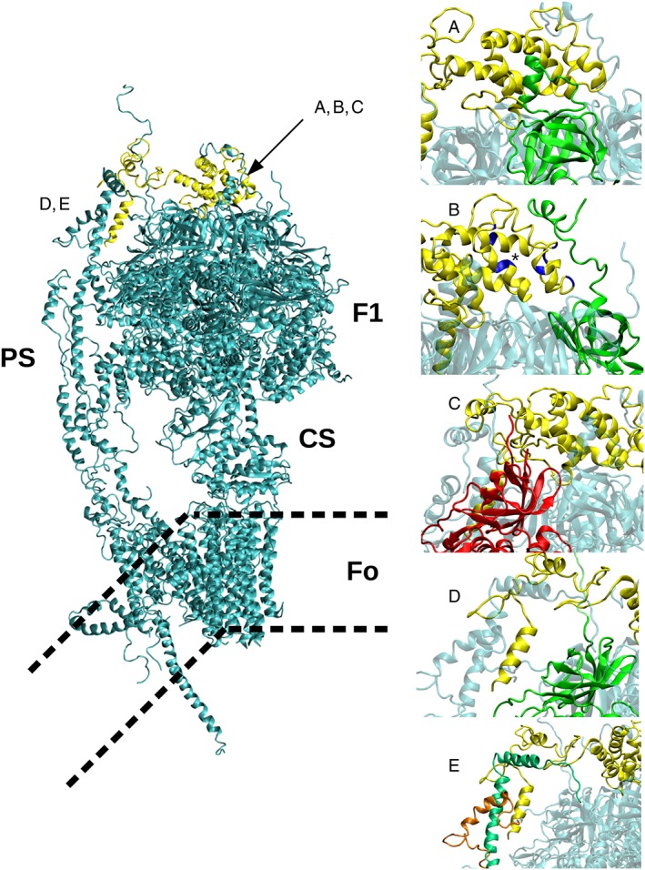 Figure 2