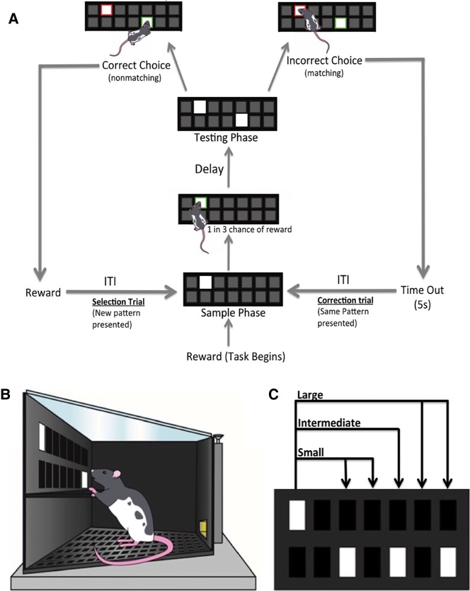 Figure 2.