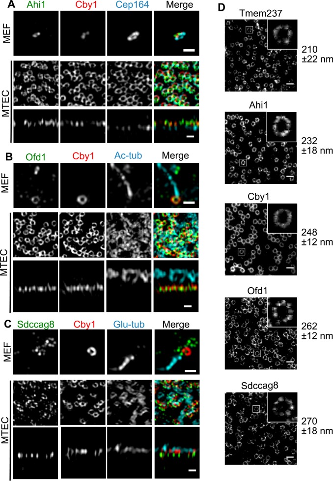 FIGURE 4: