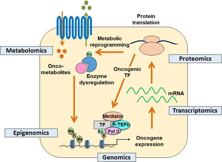 FIGURE 1