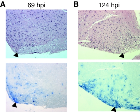 FIG. 10.