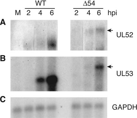 FIG. 13.