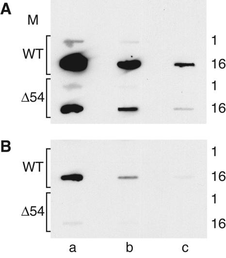 FIG. 11.