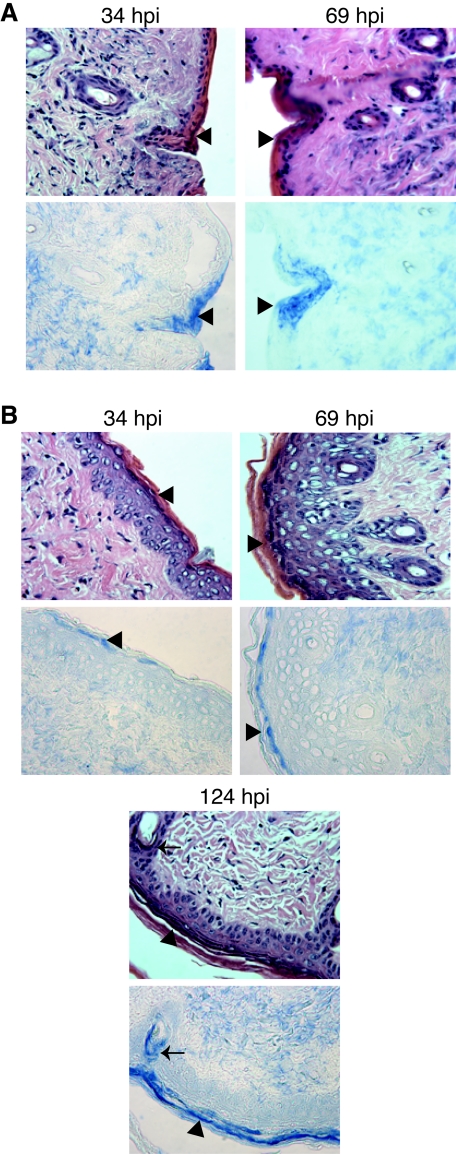 FIG. 8.