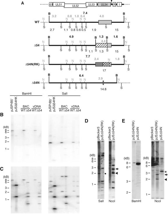 FIG. 2.