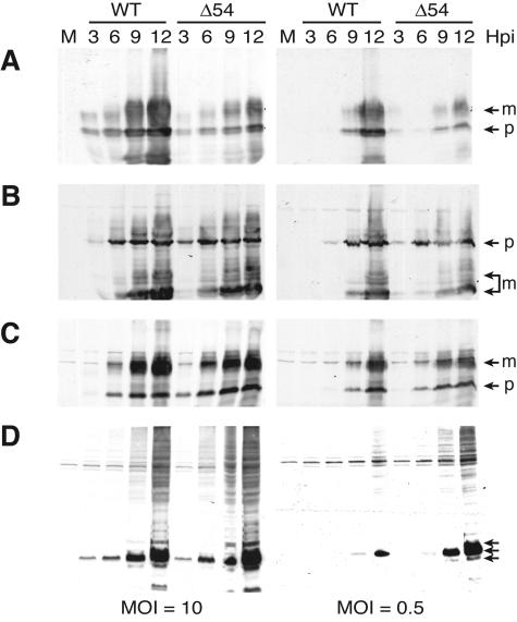 FIG. 6.