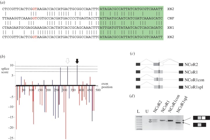 Figure 2.