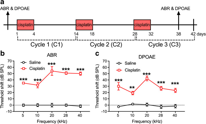 Fig. 11