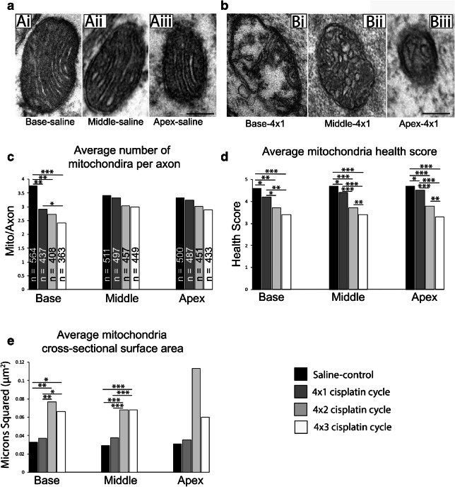 Fig. 14