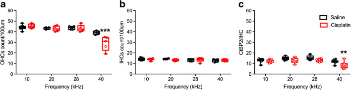 Fig. 10