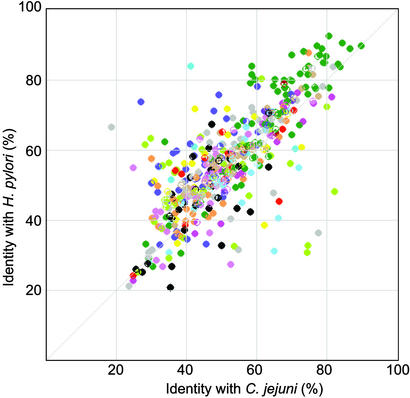 Fig. 2.