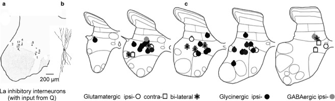 Fig 5