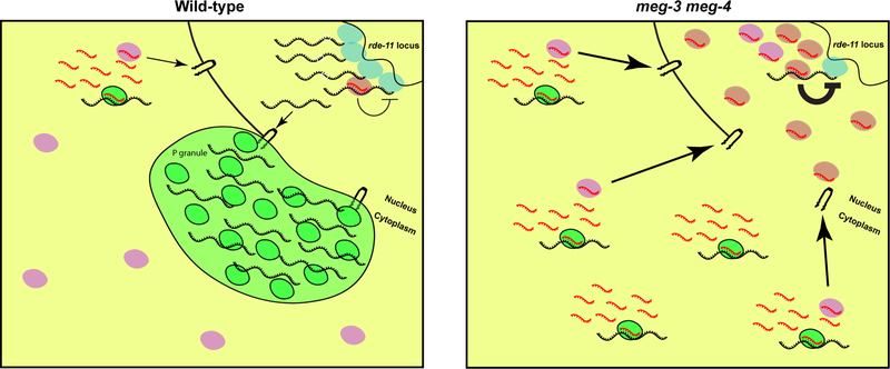 Fig. 7: