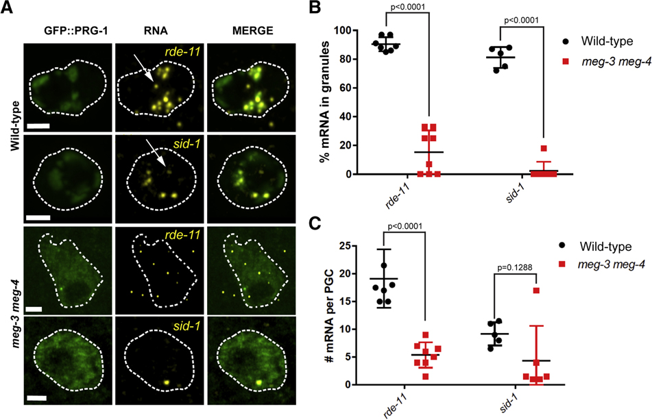 Fig. 6: