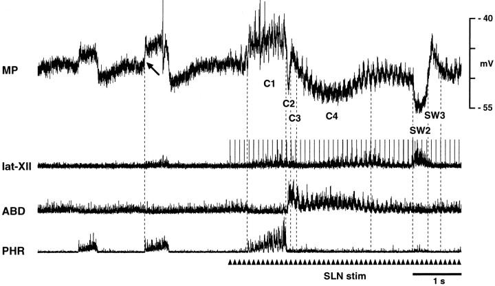 Fig. 5.