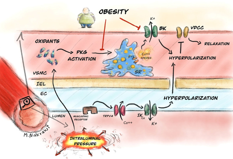 Figure 6.