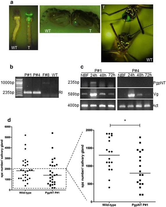 Fig. 4