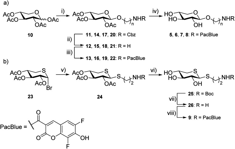 Scheme 1