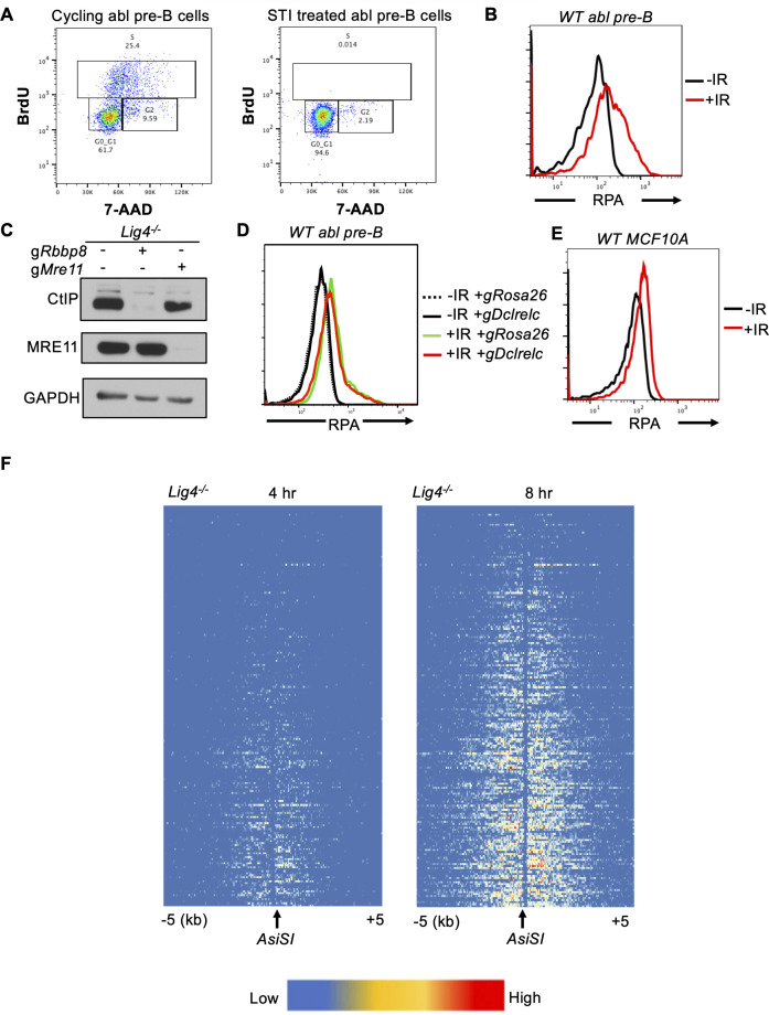 Figure 1—figure supplement 1.