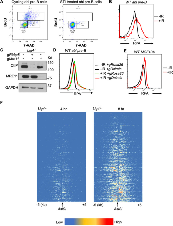 Figure 1—figure supplement 2.