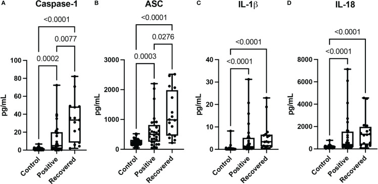 Figure 1