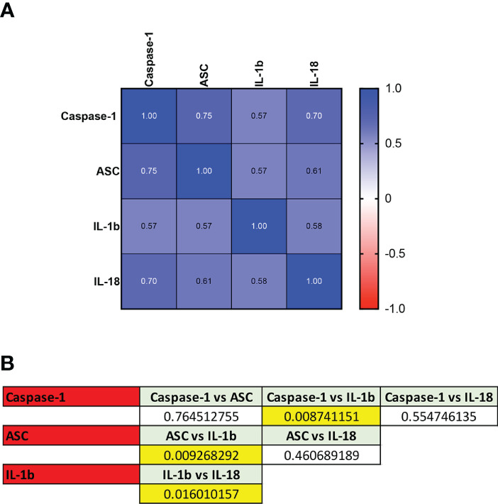 Figure 4