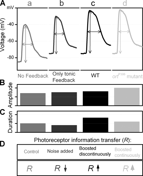 Figure 10.