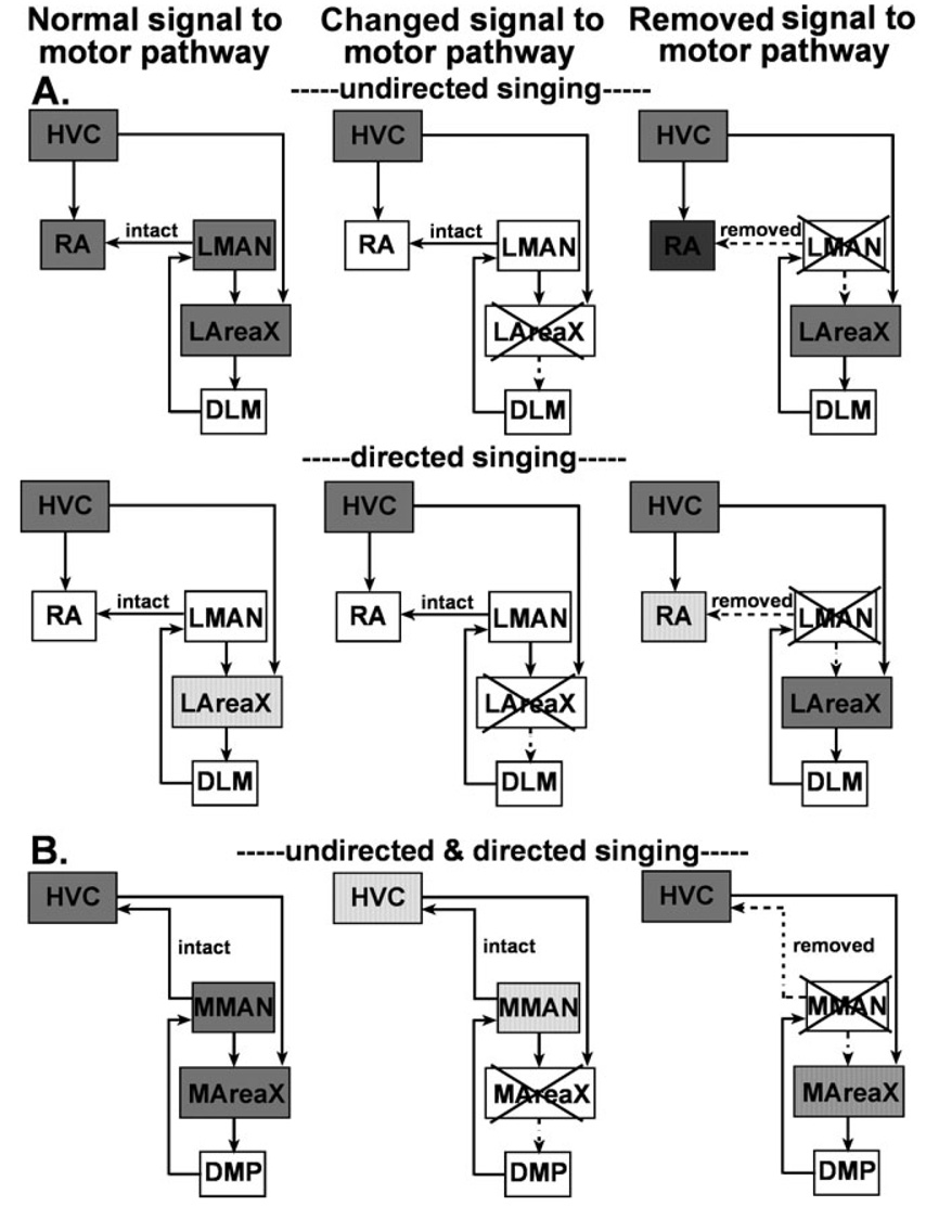 Fig. 11