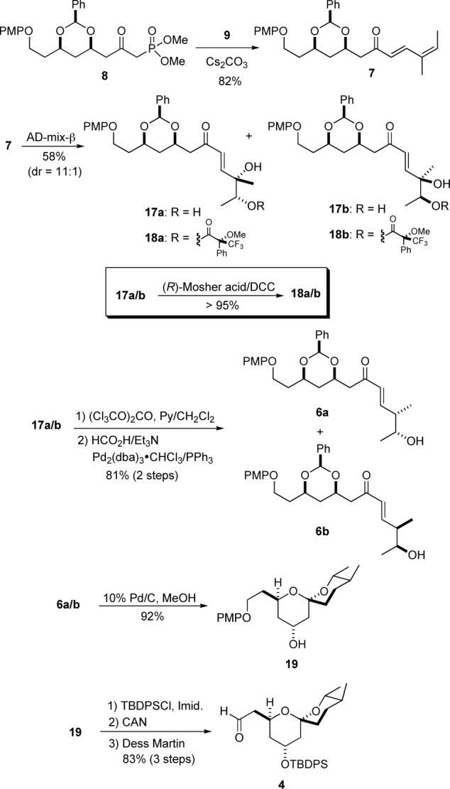 Scheme 4