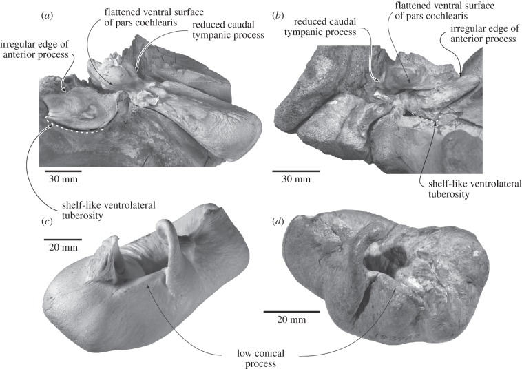 Figure 2.