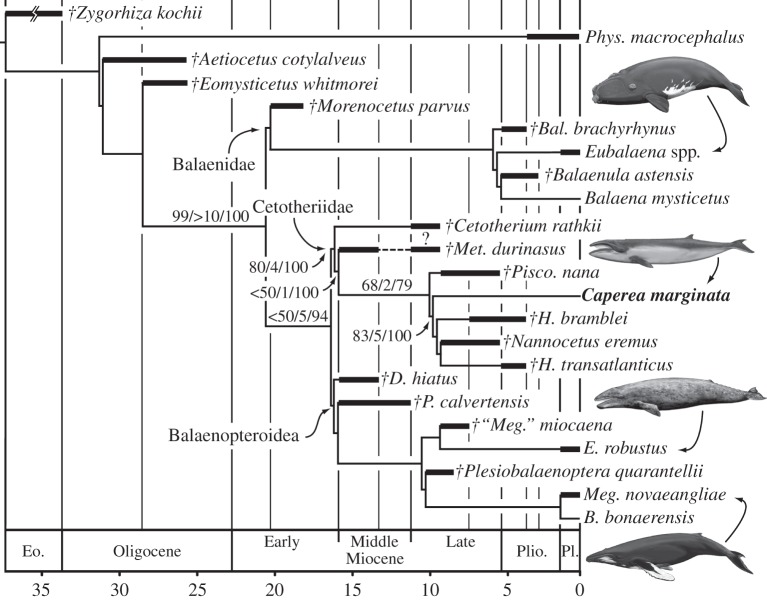 Figure 3.