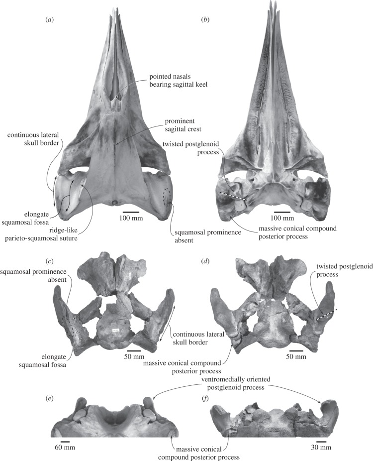 Figure 1.