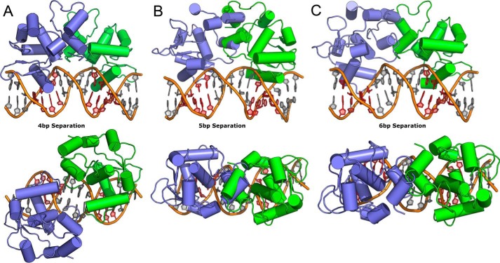 FIGURE 6.