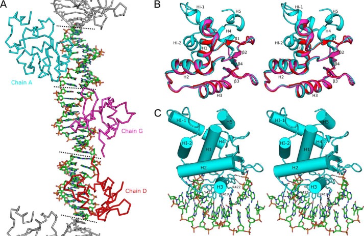 FIGURE 1.