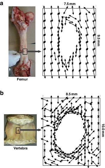 Figure 11.