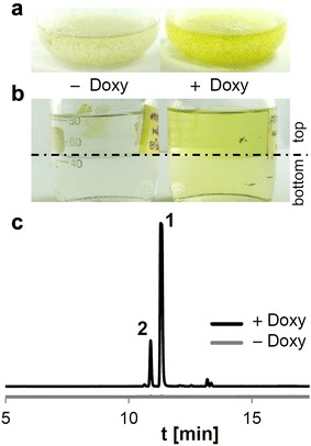 Fig. 2