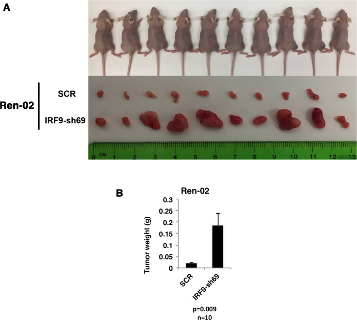 Figure 7—figure supplement 1.