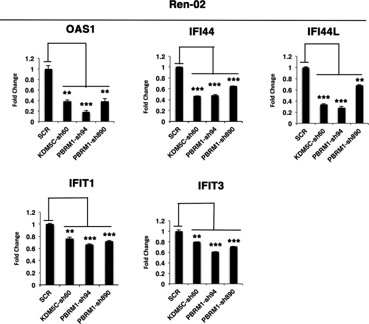 Figure 5—figure supplement 3.