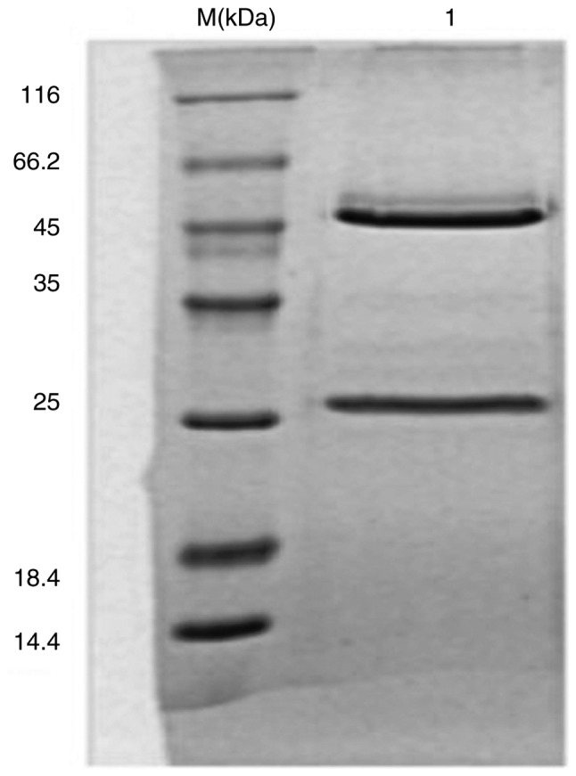 Figure 1.